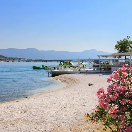 17703a *